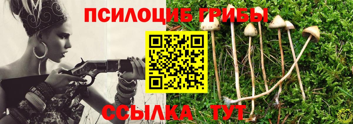 Псилоцибиновые грибы прущие грибы  Псилоцибиновые грибы Psilocybine cubensis  Кирово-Чепецк  Вход с VPN 