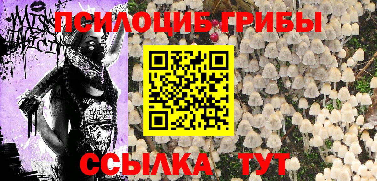 Псилоцибиновые грибы прущие грибы Кирово-Чепецк